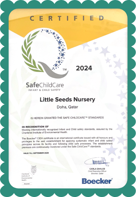 Safe ChildCare Certification